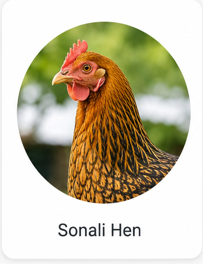 Sonali