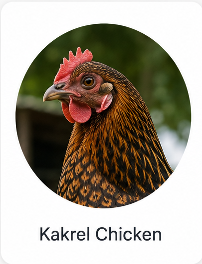 Kakrel Chicken